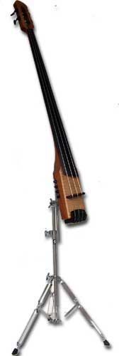 Photo : Basse Upright Fretless