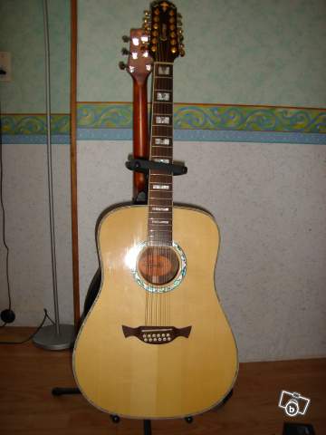 Photo : Crafter acoustique D24 12 cordes