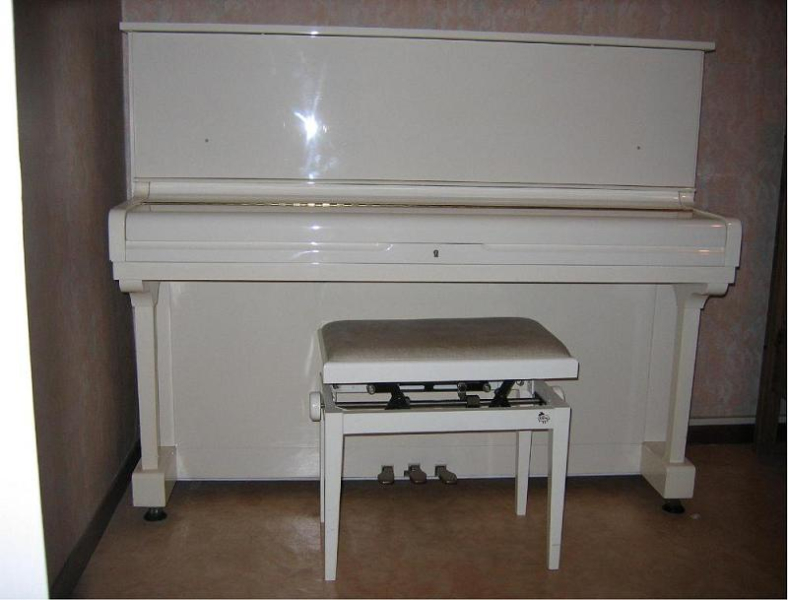 Photo annonce Piano Hyundai