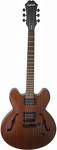 Photo annonce Epiphone Dot Studio