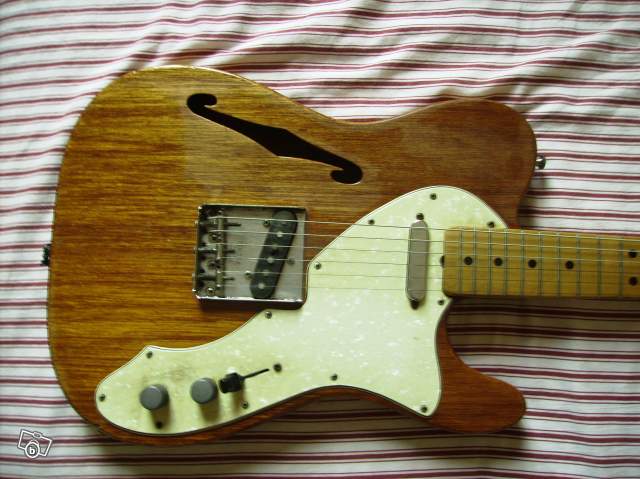 Photo annonce Fender Telecaster Thinline 69