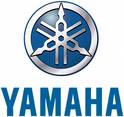 Photo annonce Yamaha BB404