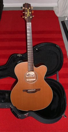 Photo annonce Takamine EAN 20C & Etui Rigide