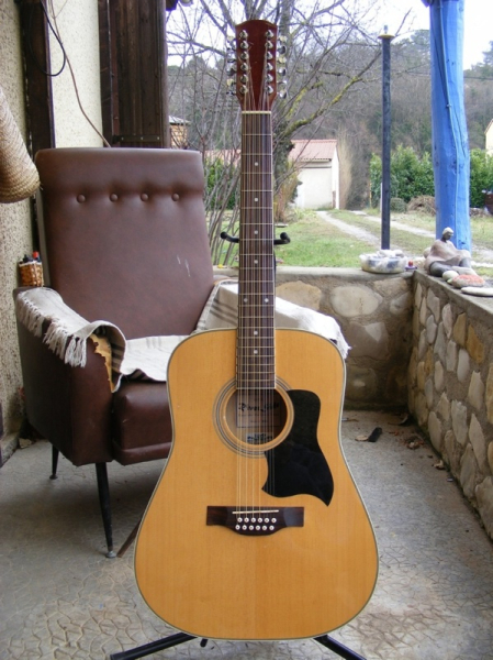 Photo annonce 12 cordes Riversound