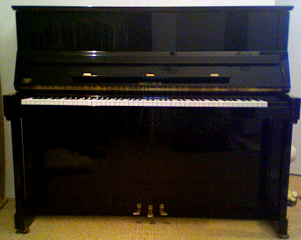 Photo annonce Piano droit W HOFFMAN DESIGN BECHSTEIN GRUPPE