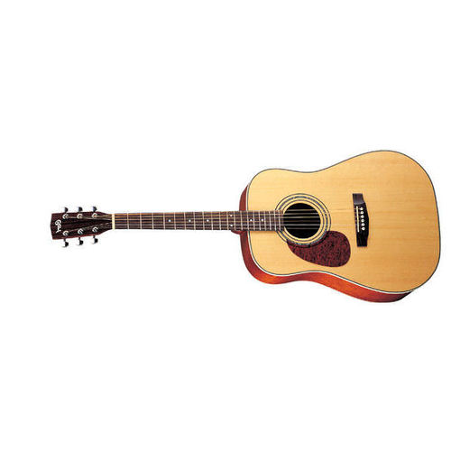 Photo annonce Guitare Folk gaucher Cort Earth 70e