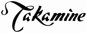 Photo annonce TAKAMINE EN 20 & Etui rigide