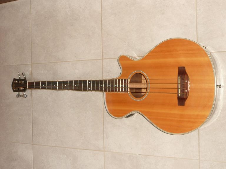 Photo : Basse Electro Acoustique ALLIANCE VP