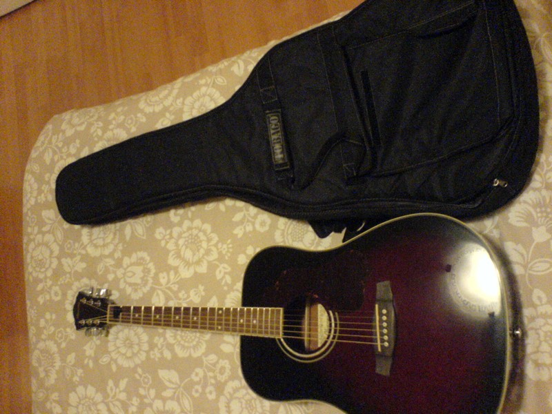 Photo annonce Ibanez SGT120E