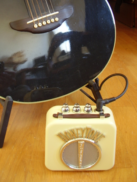 Photo annonce Danelectro Honeytone