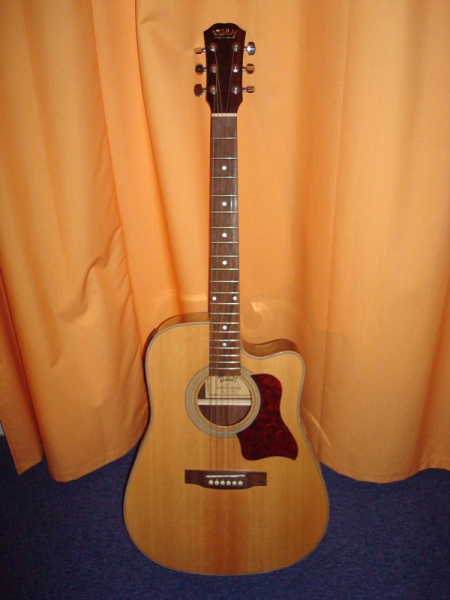 Photo annonce Electro acoustique DC 80 TS Storm