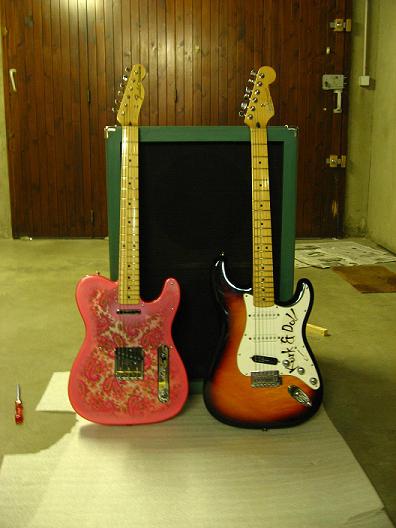 Photo annonce Fender Telecaster Pink Paisley