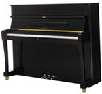 Photo annonce Piano Petrof 115v droit noir laque