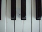 Photo annonce Piano Fender Rhodes