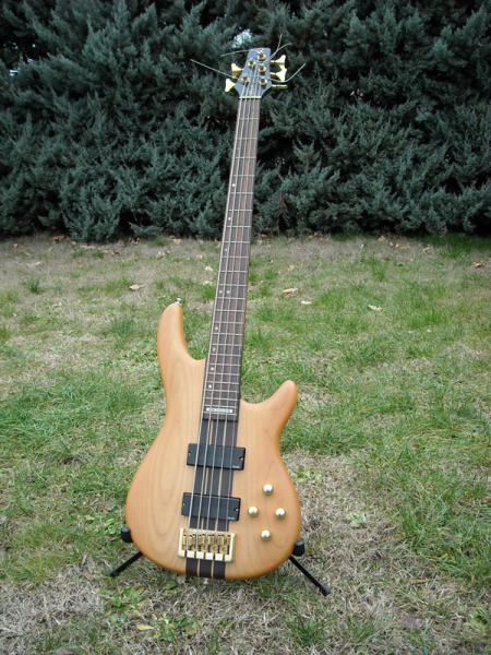 Photo annonce Basse Cort A5 & micros MEG