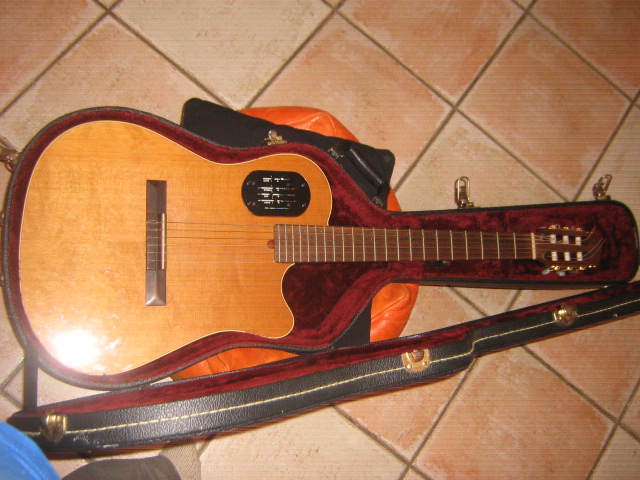 Photo : Godin Teleclassic Nylon