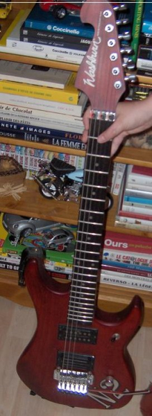 Photo annonce Washburn N2