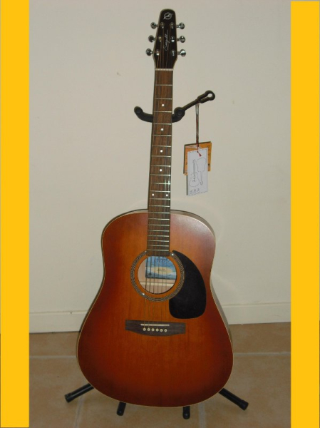 Photo : Guitare folk Seagull Entourage