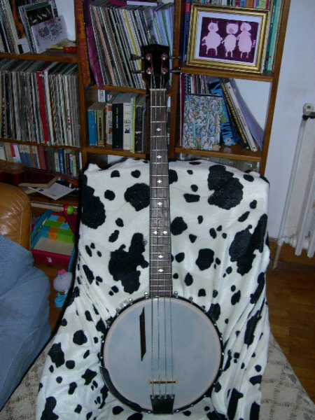 Photo : Banjo Bass Gold Tone BB 400
