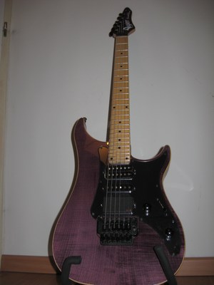 Photo annonce Vigier Excalibur Custom HSH