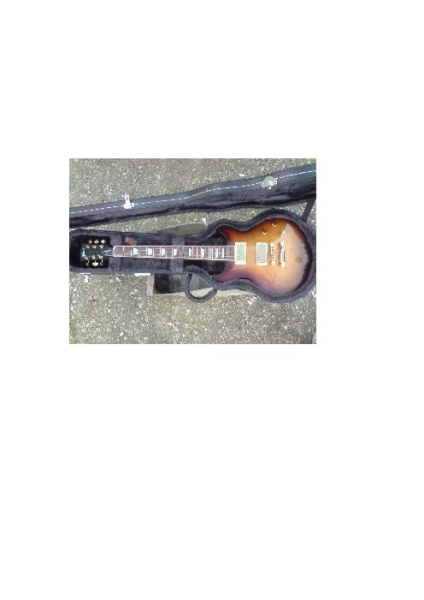 Photo annonce Gibson les paul standard double cut