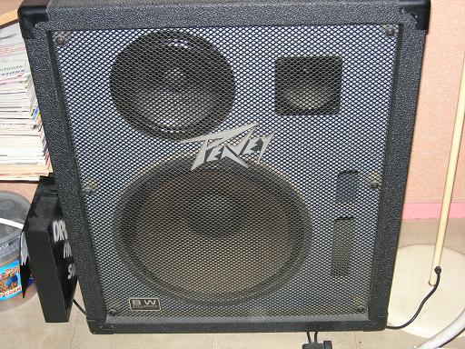 Photo annonce Enceinte Peavey 500 W