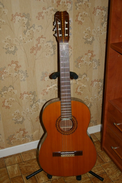 Photo : Guitare Classique Epiphone