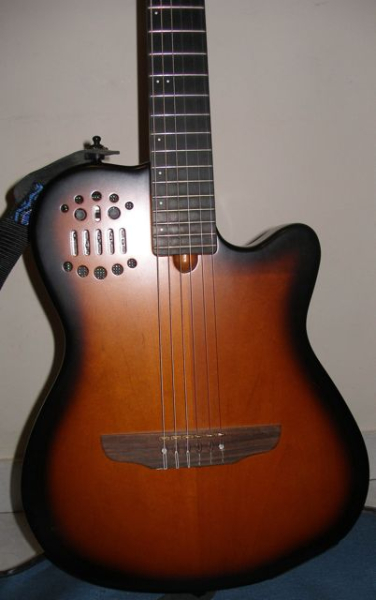 Photo annonce Godin ACS Electro Acoustique