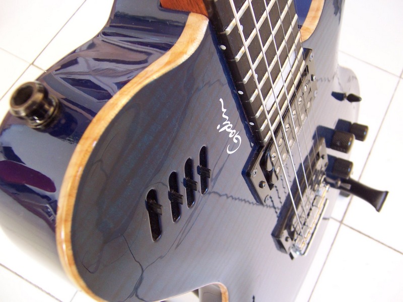 Photo annonce GUITARE GODIN LGXT BLEUE