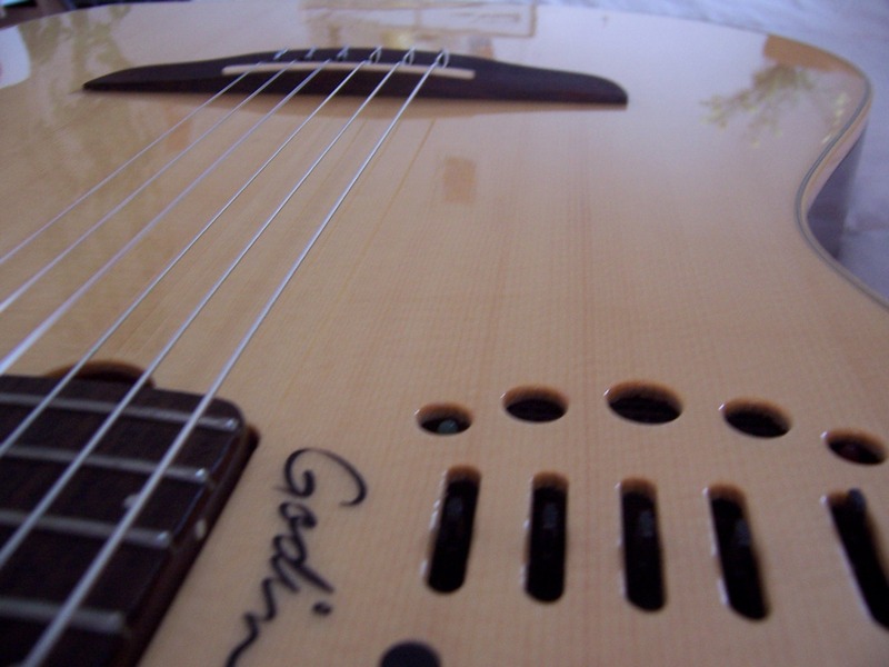 Photo annonce Guitare Godin Multiac Nylon Duet