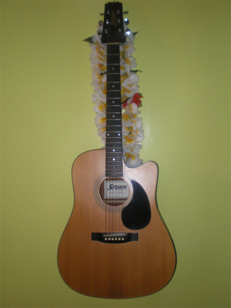 Photo annonce Guitare Folk electro acoustique Storm