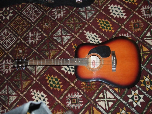 Photo : Folk Stagg 205VS