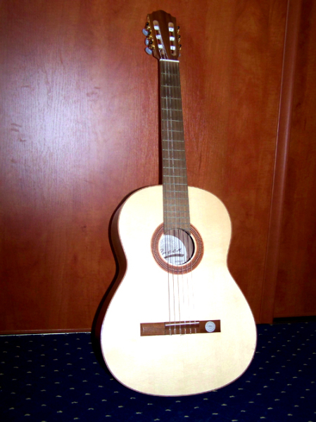 Photo annonce Guitare Classique Hofner HGL 5 Green Line