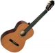 Photo annonce Guitare Amada & Housse