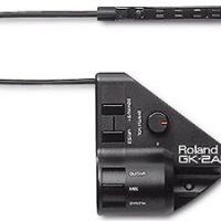 Photo annonce Synthe Guitare ROLAND GR 09