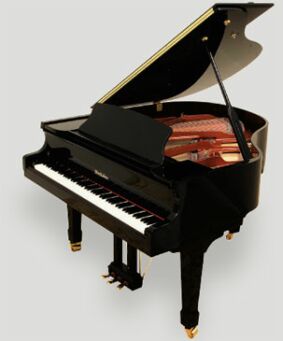 Photo annonce Piano demi queue August Forster 190