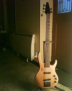 Photo annonce Basse Hohner 5 cordes B Bass V