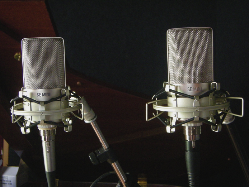 Photo annonce SE Electronics SE1 MIC