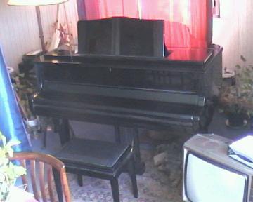 Photo annonce Piano quart queue Bluthner