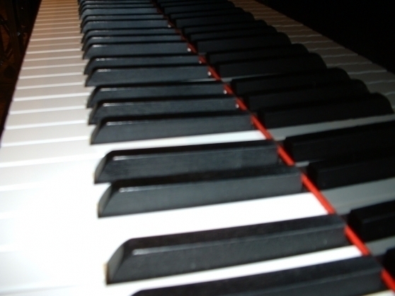Photo annonce Pianiste Clavier sampler pour show