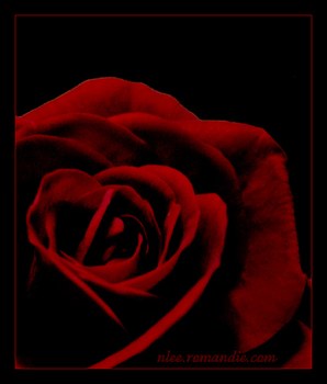 Photo annonce Textes de Poesies