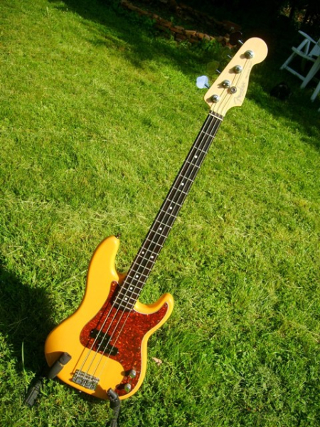 Photo : Fender American Precision bass & Fly