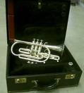 Photo annonce Cornet Getzen & Etui + Embouchure