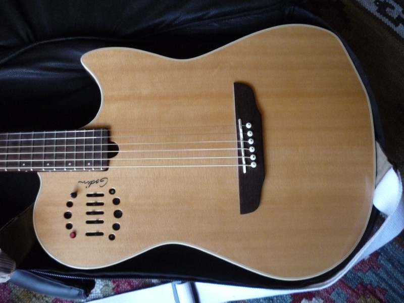 Photo annonce Godin Multiac Steel Duet