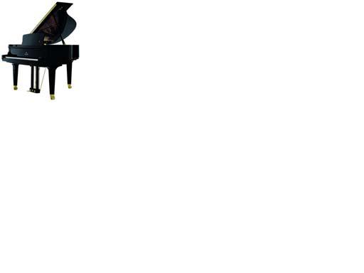 Photo annonce Piano a queue SAUTER 160 ALPHA Silent