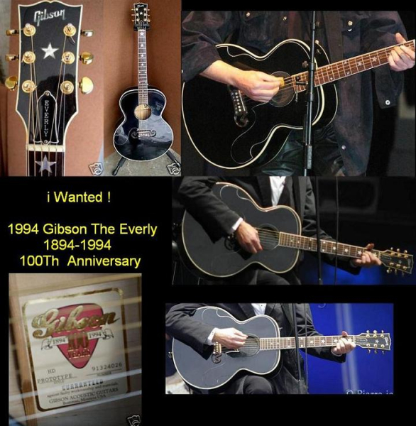 Photo annonce Gibson Everly