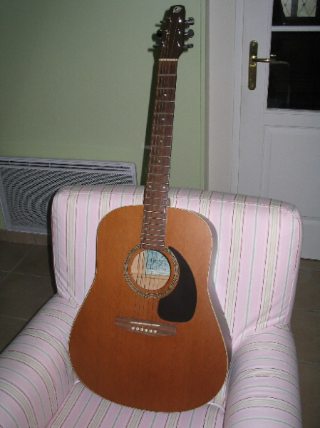 Photo annonce Guitare Seagull S6 Cedar