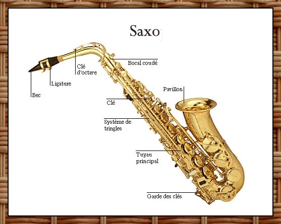 Photo annonce Clarinette & Sax pour piece