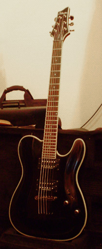 Photo annonce SCHECTER BLACKJACK PT