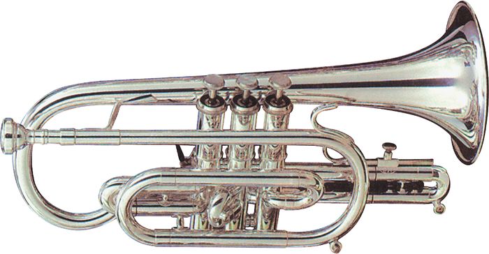 Photo annonce Cornet sib CAPRI GETZEN 580 S